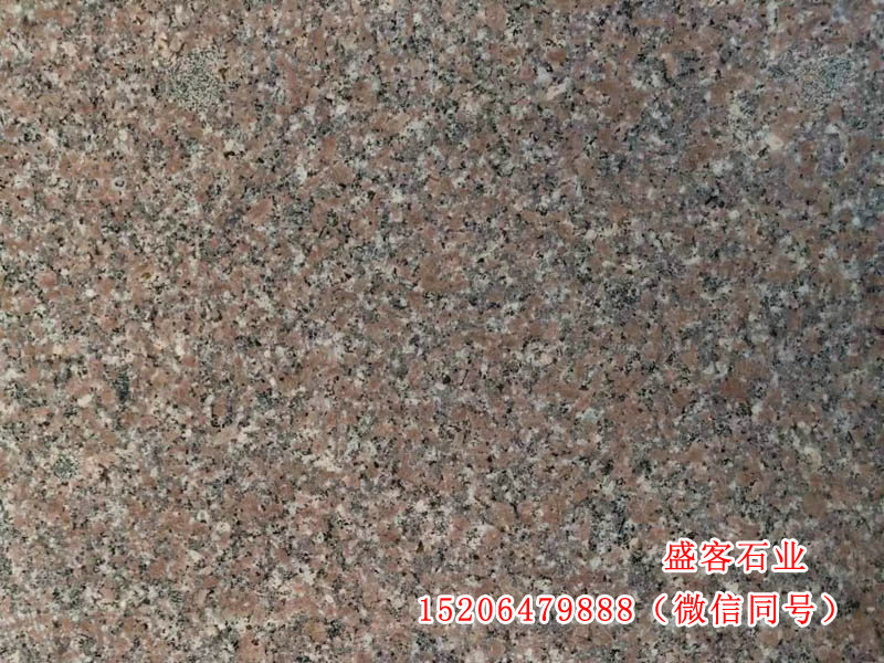 五莲红